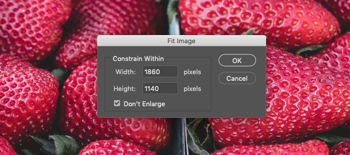 Step2_FitImage1860.jpg